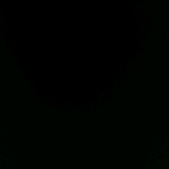 Meet your Posher, Marcie - Picture 1 of 1